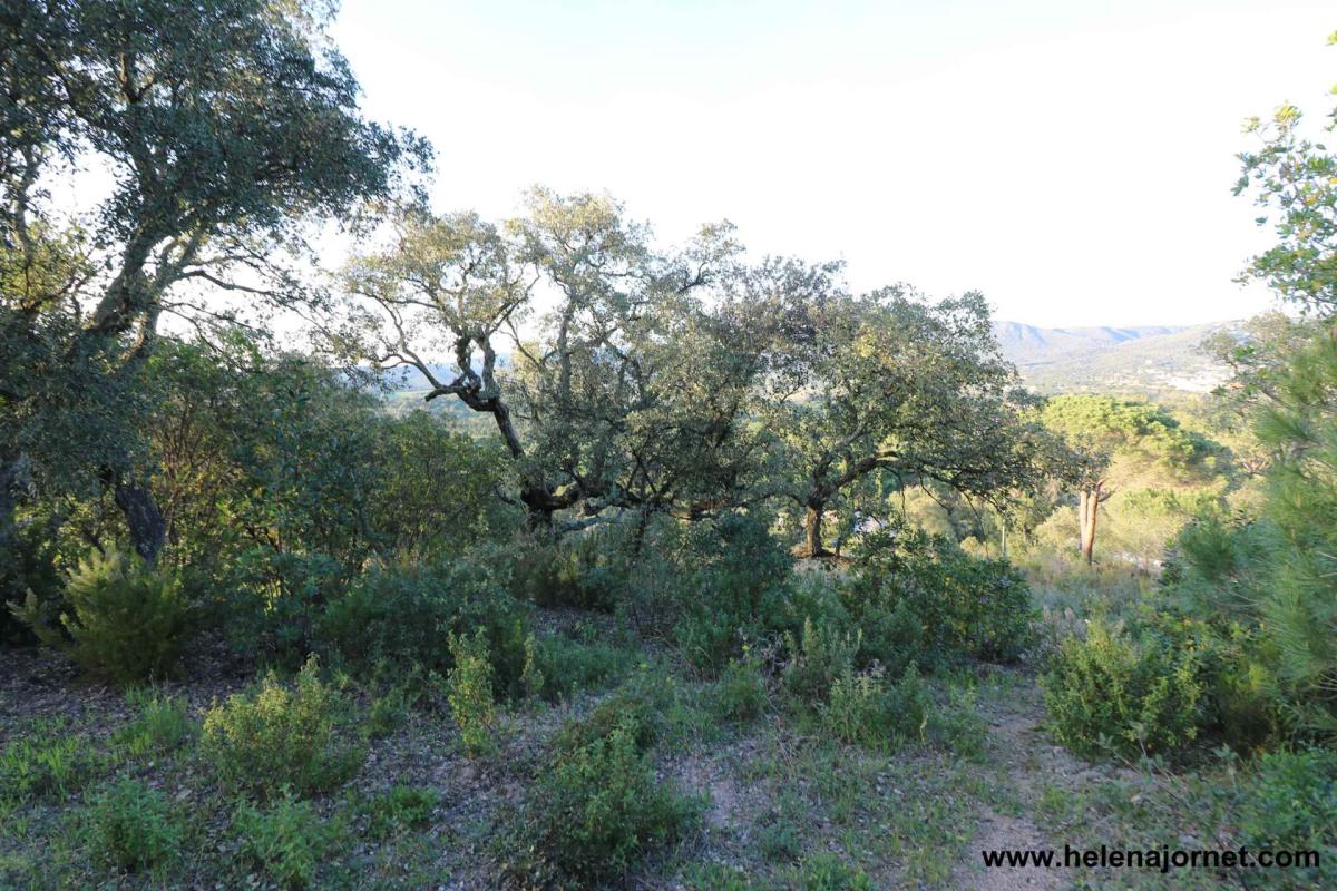 Parcelle au Golf Costa Brava avec des vues spectaculaires