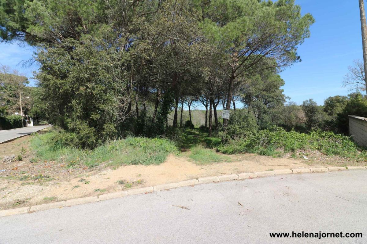 Terreny a la urbanització Llac dels Cignes