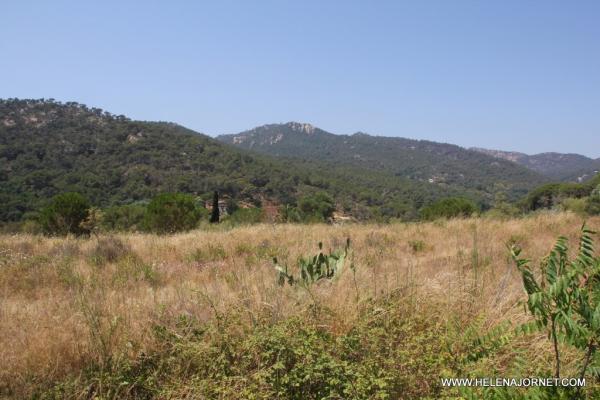 Casa o chalet en Sant Feliu de Guíxols