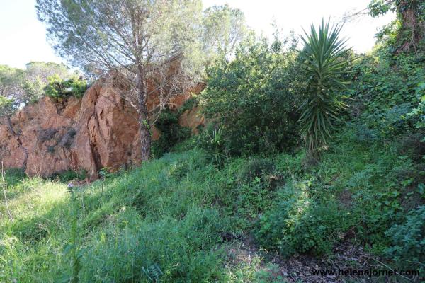 Terrain à Sant Feliu de Guixols