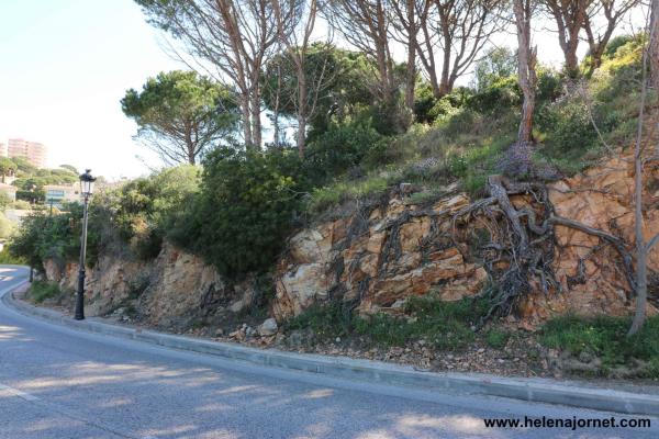 Terrain à Sant Feliu de Guixols