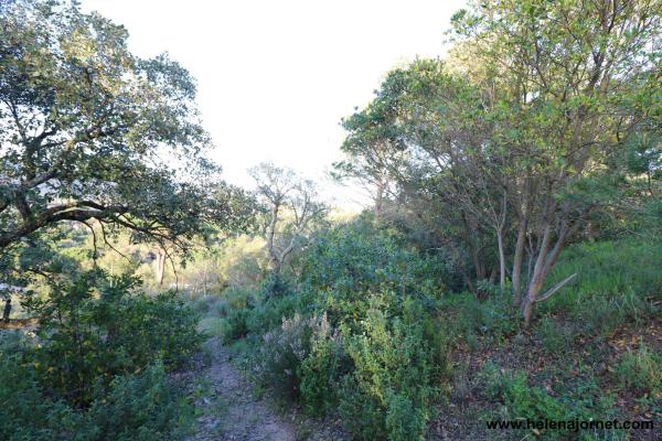 Parcelle au Golf Costa Brava avec des vues spectaculaires