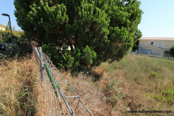 Terreny edificable de 690 m2 a Les Bateries, una de les urbanitzacions més exclusives de Sant Feliu de Guíxols i que també està molt a prop de S’Agaró. La zona destaca per les seves increïbles platges i cales que anireu trobant al llarg de la costa. Us trobareu en un entorn tranquil amb accés a l’amplia oferta cultural, gastronòmica, esportiva i d’oci de la Costa Brava. S’hi pot construir una preciosa casa amb unes vistes precioses cap a S’Agaró. Ref. 4027