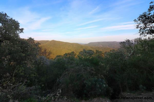 Terreno en Santa Cristina d’Aro