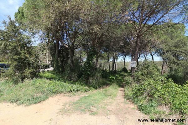 Terreny a la urbanització Llac dels Cignes