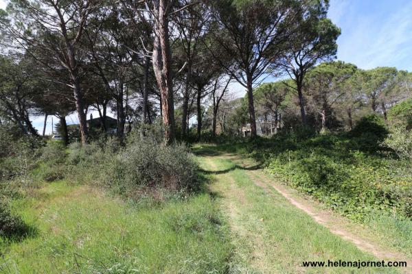 Terreny a la urbanització Llac dels Cignes