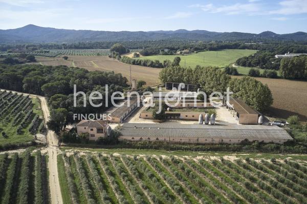 Ferme à Llagostera