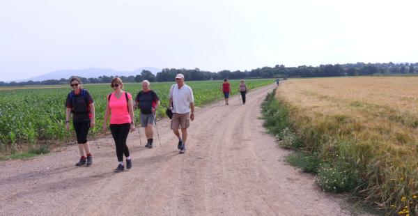 Cinco años caminando por el cáncer en Parlavà