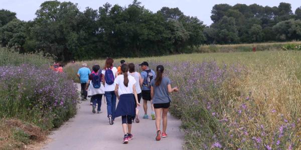 Cinco años caminando por el cáncer en Parlavà