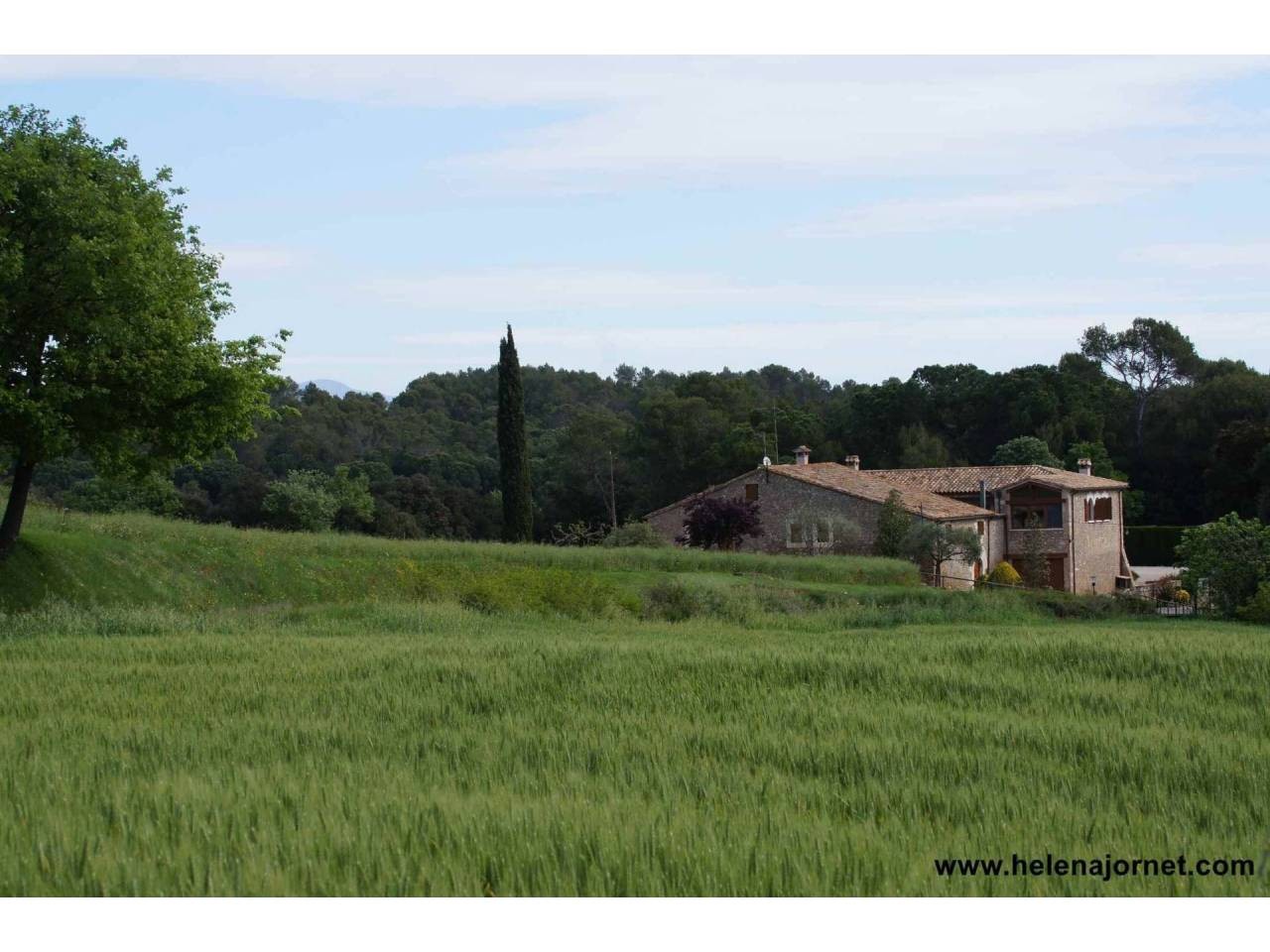 Spectacular farmhouse reformed with covered swimming pool and 37 ha of area - 1308