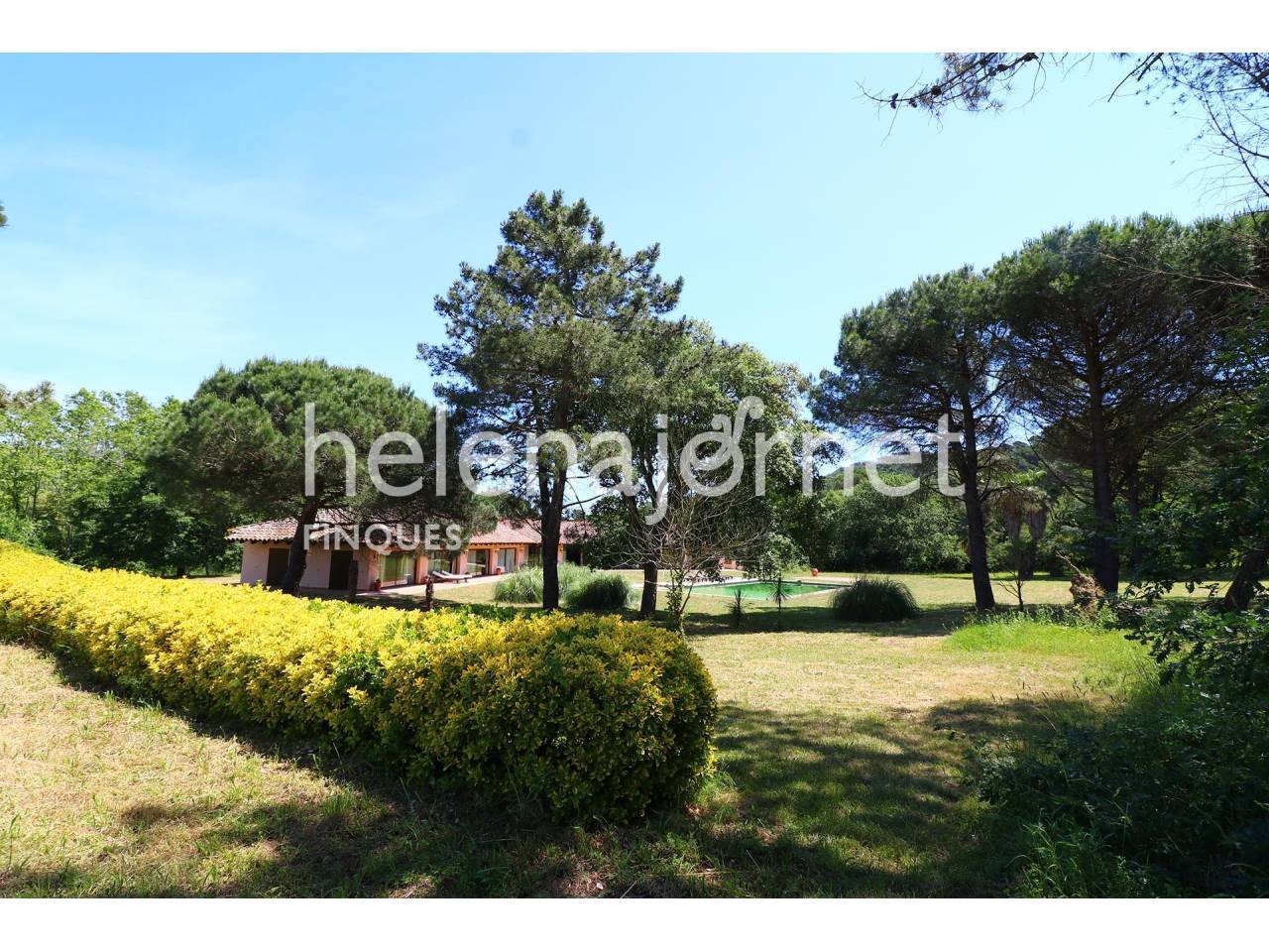 Marvellous house with pool on a 32ha plot with a country house to remodel - 3506